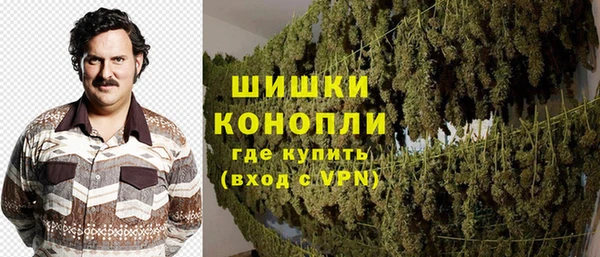 гашик Зерноград